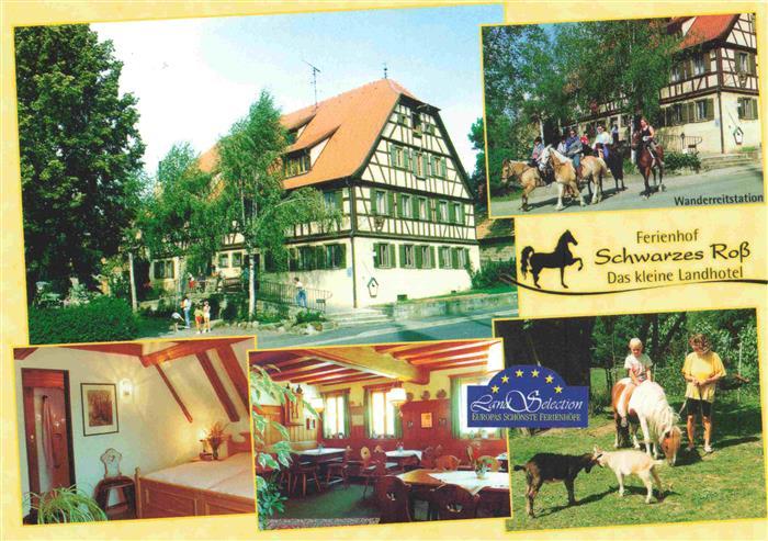 Steinsfeld Mittelfranken Ferienhof Schwarzes Ross Das kleine Landhotel Gaststube