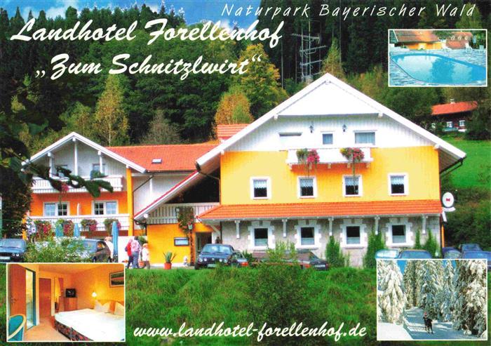 Achslach Regen Bayern Landhotel Forellenhof Zum Schnitzlwirt Pool Zimmer Winteri