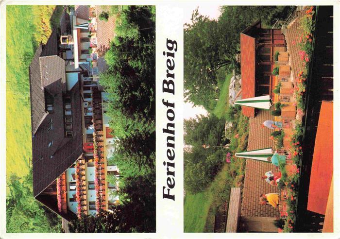 Oberharmersbach Ferienhof Breig Terrasse
