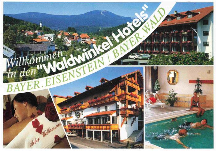 Bayerisch Eisenstein Waldwinkel Hotels Teilansichten Hallenbad