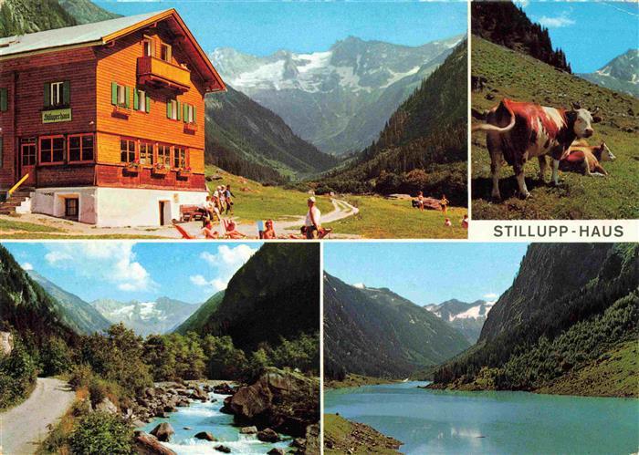 Mayrhofen Zillertal Tirol AT Alpengasthaus Stillupphaus mit Keilbachspitze Pano