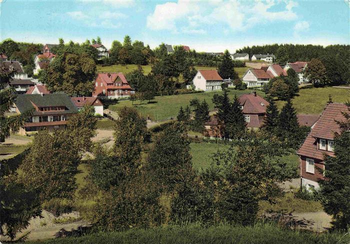 Hahnenklee-Bockswiese Harz Panorama