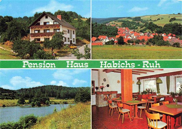 Habichsthal Pension Haus Habichs-Ruh Gastraum Panorama Landschaft See