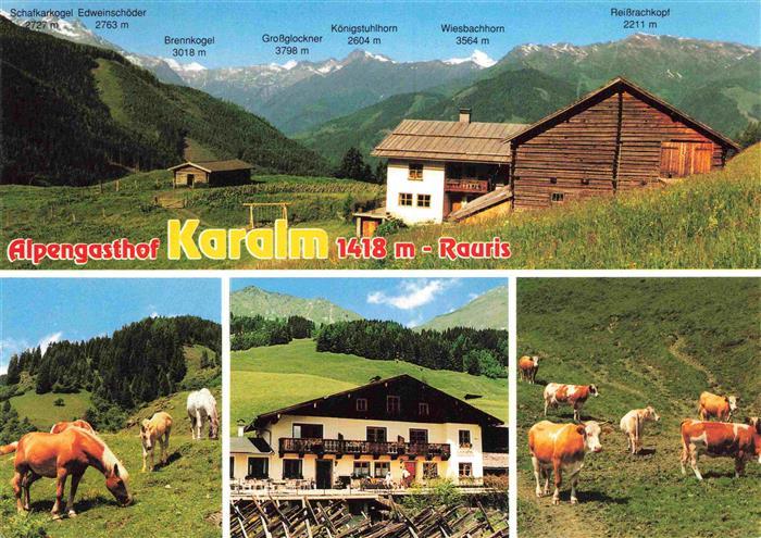 Rauris-Woerth AT Alpengasthof Karalm Almvieh Haflinger Pferde Alpenpanorama
