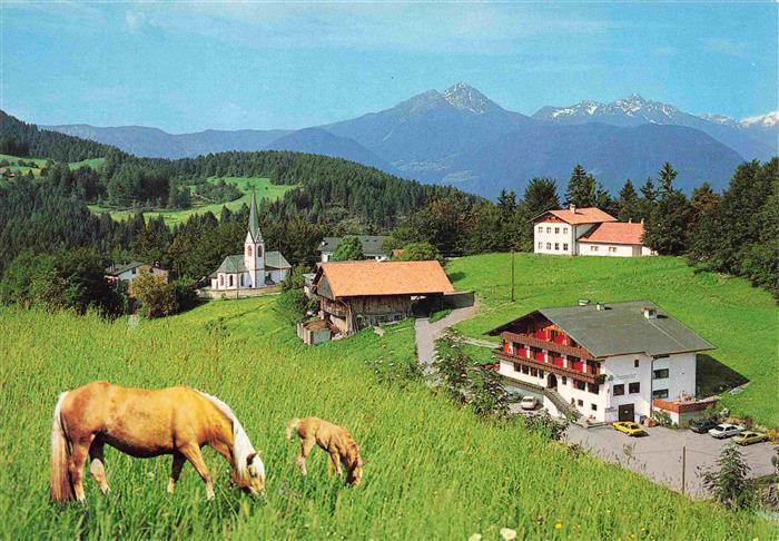 Hafling Avelengo-Falzeben IT Kirche Hotel Haflingerstute mit Fohlen