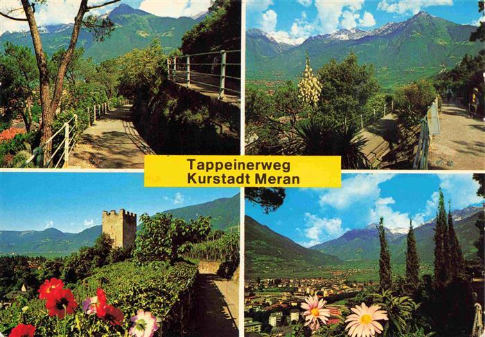 Meran MERANO IT Tappeinerweg Burg Panorama