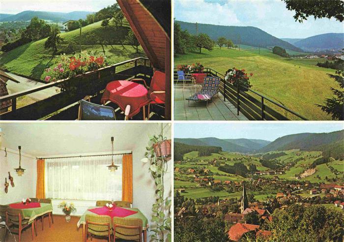 Baiersbronn Schwarzwald Haus Sabine Terrasse Zimmer Panorama