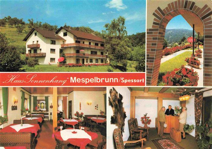 Mespelbrunn Pension Haus Sonnenhang Gastraeume Bar Park