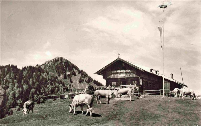 Aueralm Auer-Alm 1300m Bad Wiessee mit Fockenstein