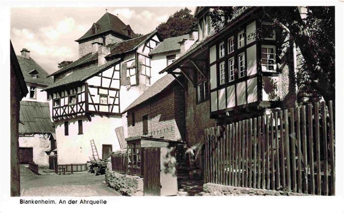 Blankenheim Ahr Ortsmotiv an der Ahrquelle
