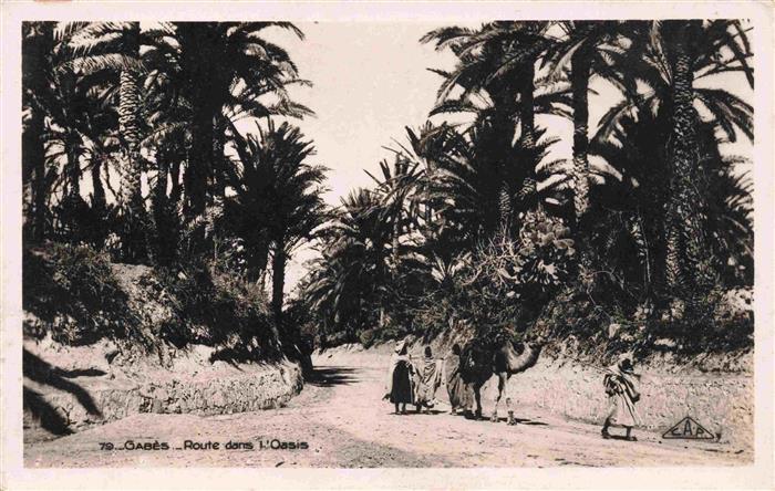 Gabes Tunesie Route dans l'Oasis