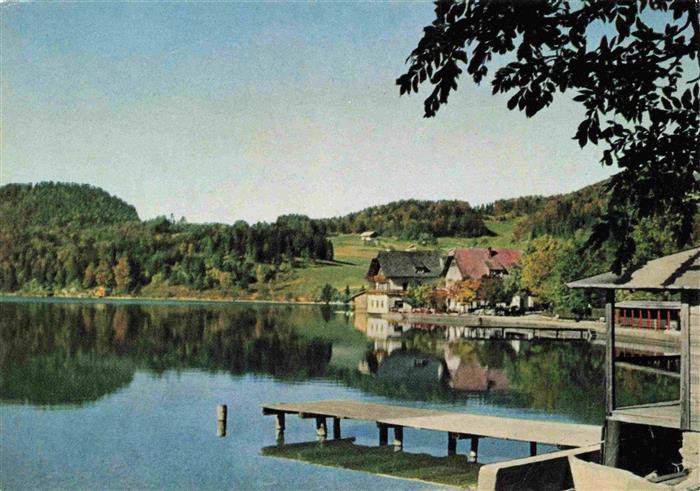 Fuschl See Salzkammergut AT See Panorama