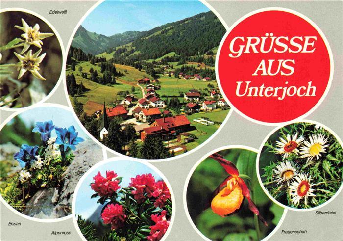 Unterjoch Bad Hindelang Panorama Alpenflora Edelweiss Enzian Alpenrose Frauensch