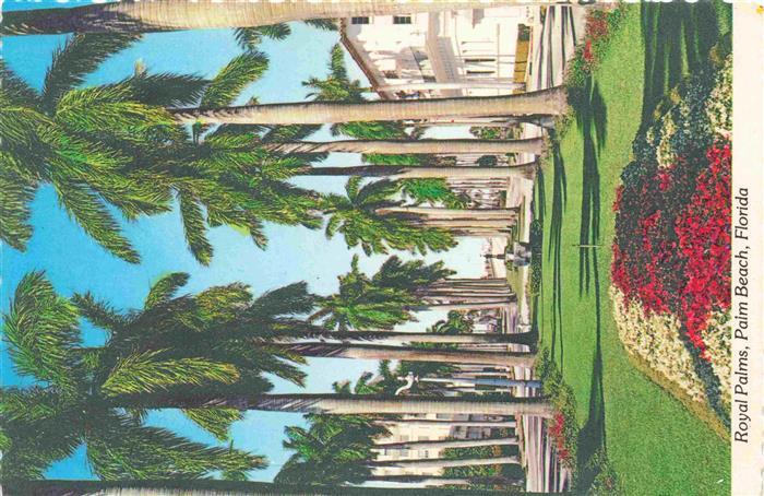 Palm Beach Florida USA Royal Palms