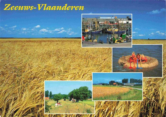 Zeeuws Zeeuwsch Vlaanderen NL Panorama Hafen Teilansichten