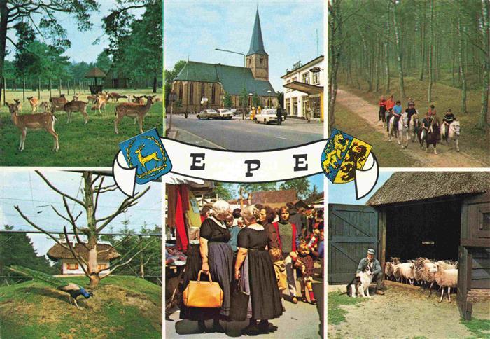 Epe-Wissel Gelderland NL Wildpark Kirche Reiten Pfau Markt Schafe
