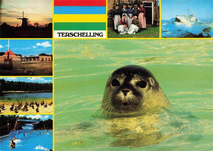 Terschelling Friesland NL Windmuehle Strand Schwimmbad Trachtengruppe Seehund