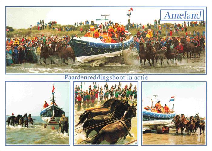 Ameland Friesland NL Paardenreddingsboot in actie Details
