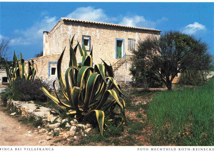 Villafranca del Bierzo ES Finca