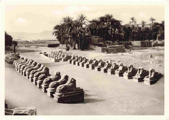 Karnak Egypt The Sphinx Allee