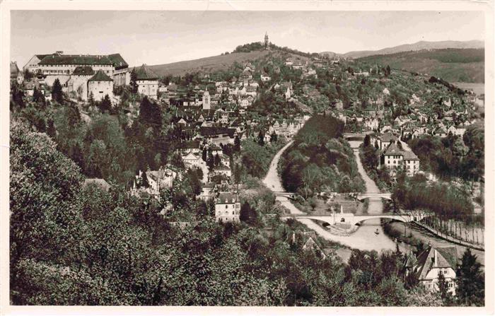TueBINGEN BW Fliegeraufnahme