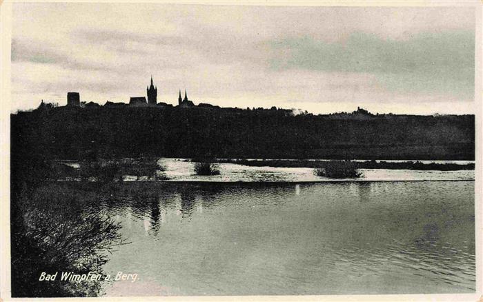 Bad Wimpfen Neckar Panorama