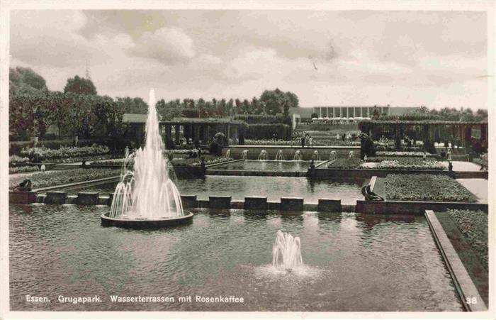 EssEN Ruhr Grugapark Wasserterrassen mit Rosenkaffee