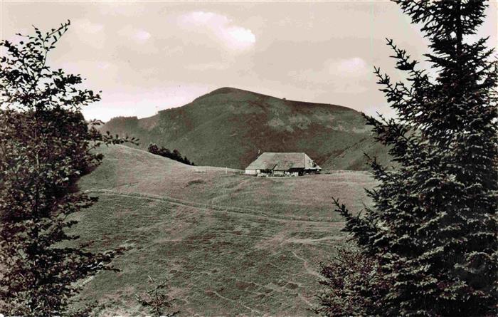 BADENWEILER BW Kaelbelescheuer mit Belchenblick