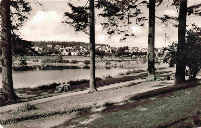 Hahnenklee-Bockswiese Harz Kuranlagen am Kranichteich
