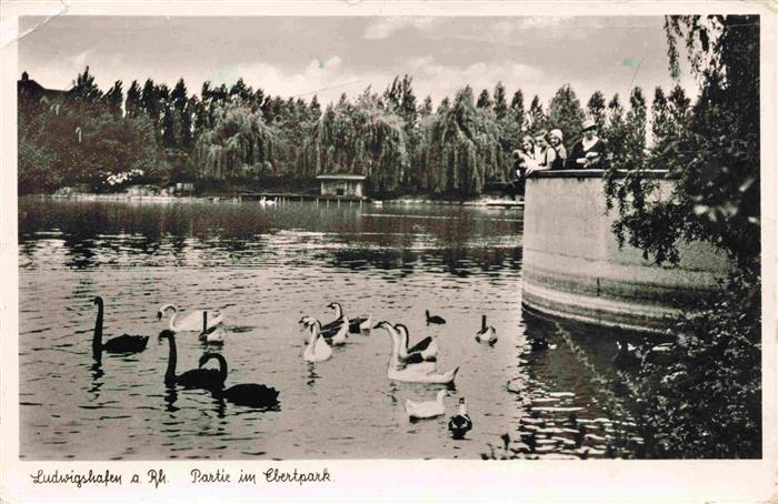 Ludwigshafen  Rhein Partie im Ebertpark