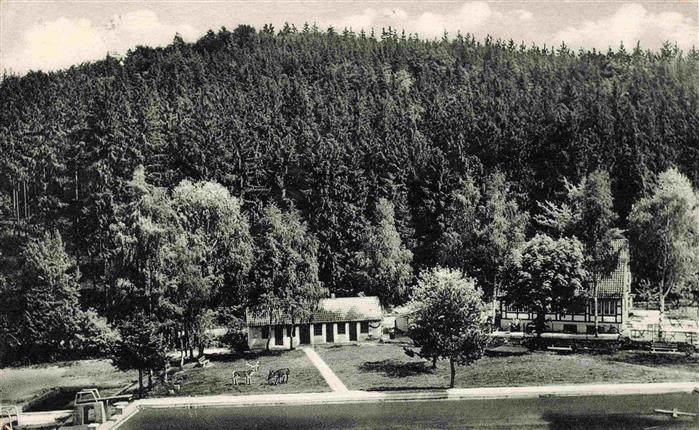 Wolfshagen Harz Waldgaststaette und Freibad Im Tannengrund