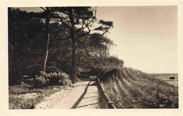 Graal-Mueritz Ostseebad Waldweg