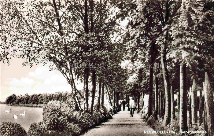 Neuwedell Pommern Drawno PL Seepromenade