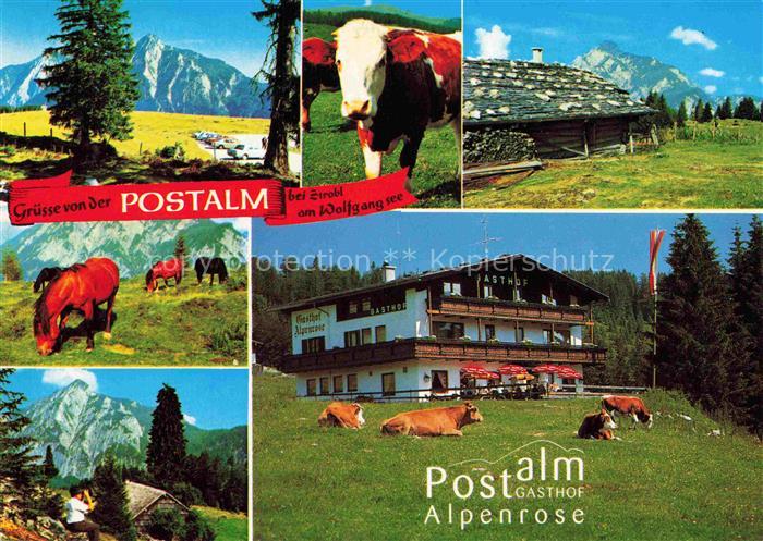 Strobl Wolfgangsee AT Postalm Gasthof Alpenrose Teilansichten
