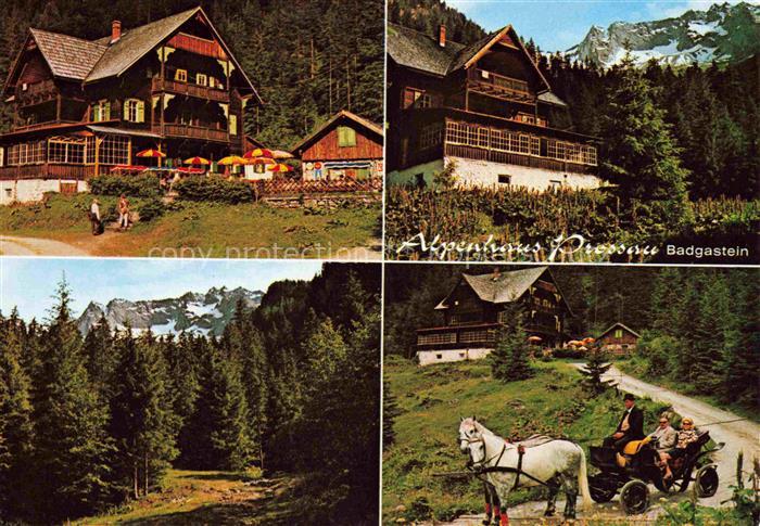 Badgastein BAD GASTEIN Pinzgau Pongau AT Alpenhaus Prossau Waldpartie Pferdekuts