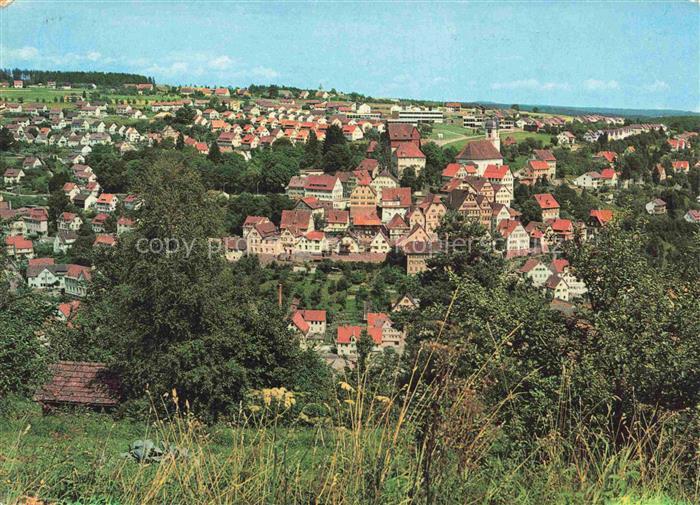 Altensteig Schwarzwald Panorama