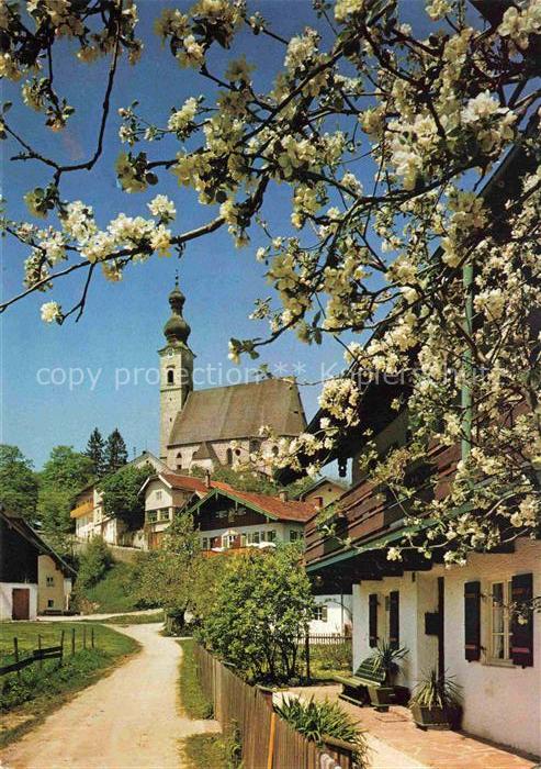 Anger Bad Reichenhall Ortsmotiv mit Kirche Baumbluete