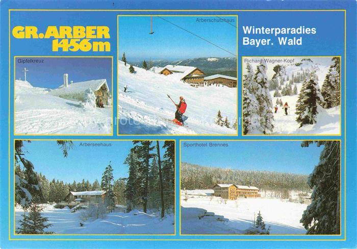 Grosser Arbersee Bayerisch Eisenstein Bayern Winterparadies im Bayerischen Wald