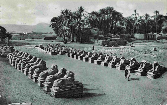 Karnak Egypt The Avenue of Sphinxes