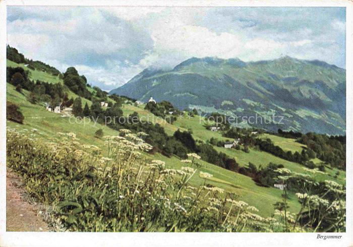 Bartholomaeberg 1100m Vorarlberg AT Panorama