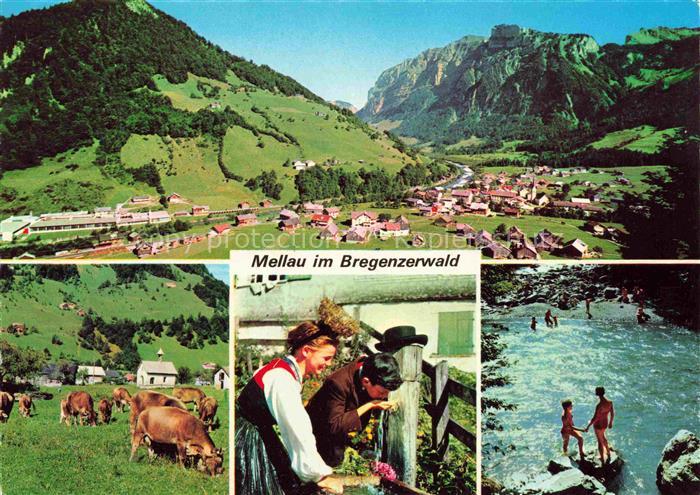 Mellau Vorarlberg AT Fliegeraufnahme Viehweide Brunnen Waldbad