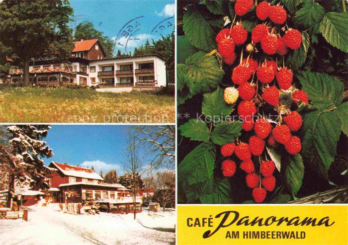 Braunlage Harz Cafe Panorama Pension am Himbeerwald