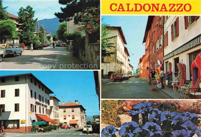 Caldonazzo Trient Trentino-Alto Adige IT Viale Stazione Piazza Municipio e Alber