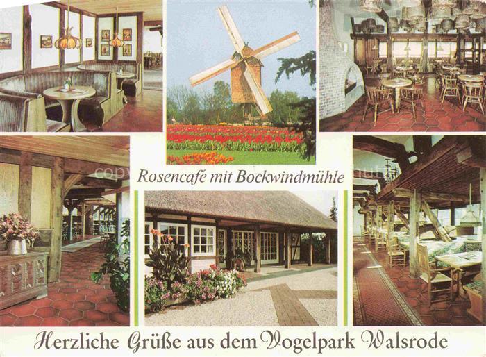 Walsrode Lueneburger Heide Rosencafe mit Bockwindmuehle Gastraeume Bar