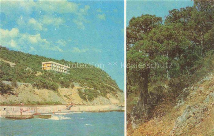 Krim Crimea Nikitskeb Botanisches Garten Hotel Jalivetz vesokej