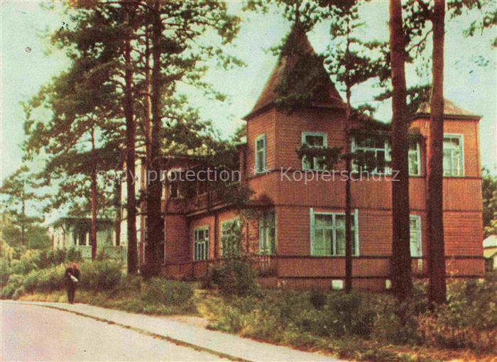 Druskininkai Lithuania Fichten Erholungsheime