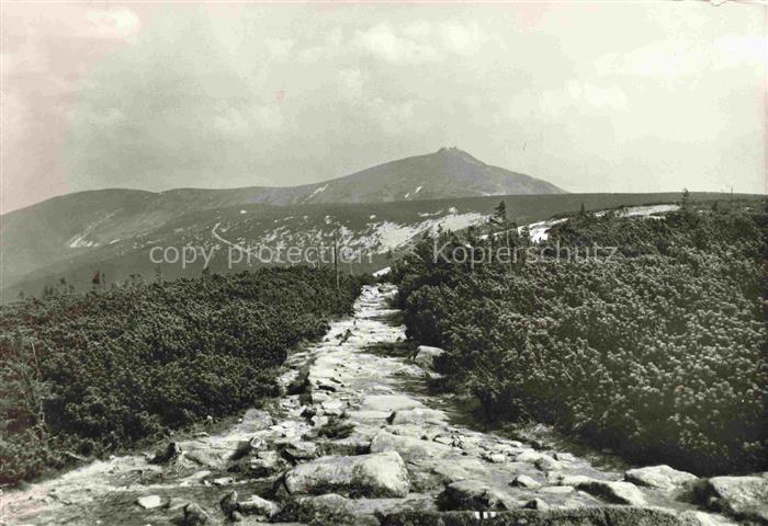 Karkonosze PL Widok na Sniezke