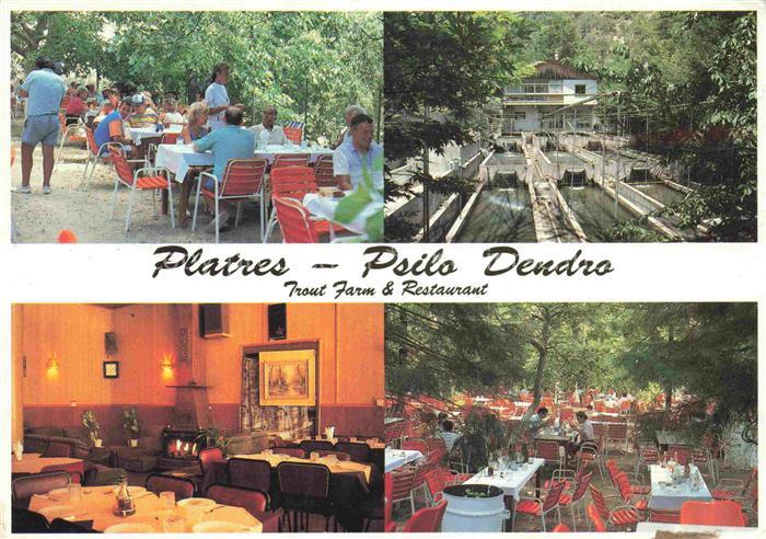 Platres Cyprus Zypern Psilo Dendro Trout Farm and Restaurant