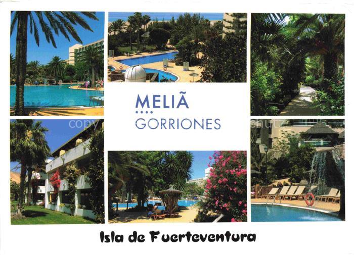 Fuerteventura Hotel Melia Gorriones Pools Parks