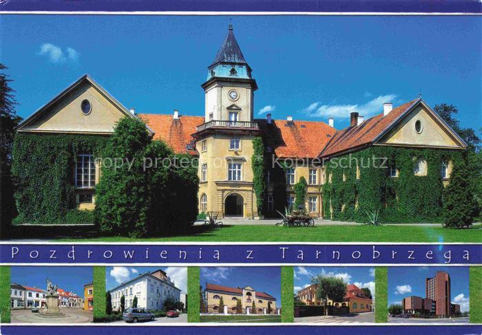 Tarnobrzeg Gotycki zamek w Dzkowie Teilansichten